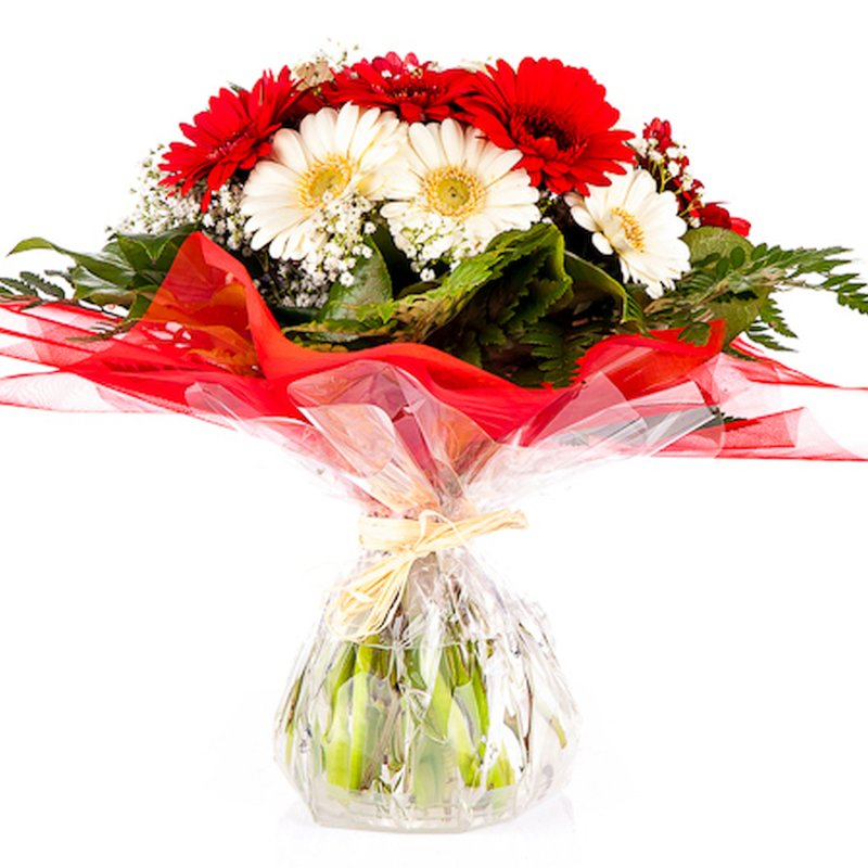 Germini v balení vody